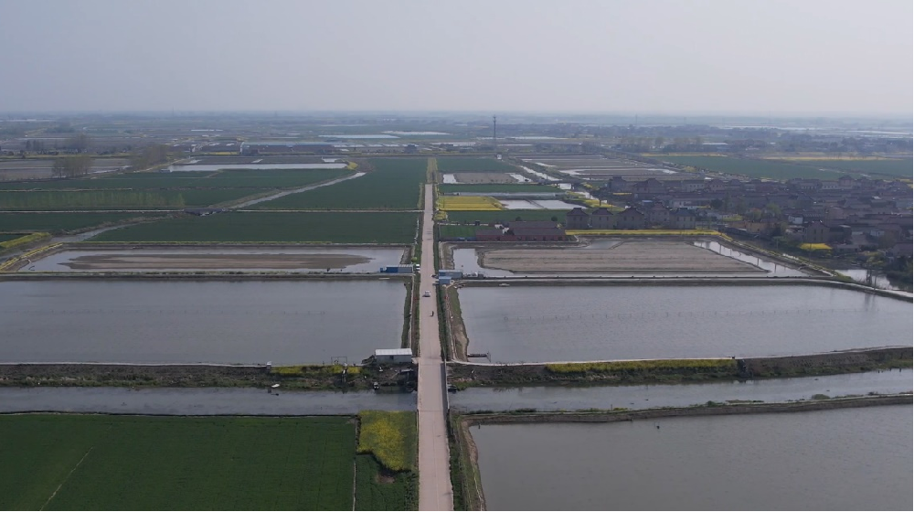 媒体管家|运满满助力“农村公路+产业”  铺就乡村振兴“快车道”