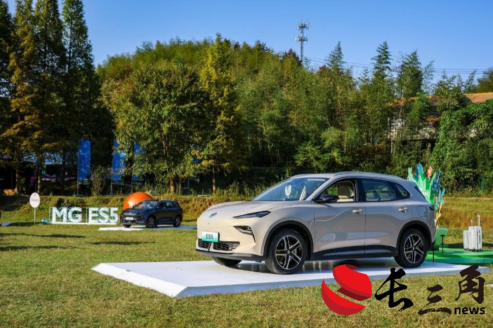 媒体管家|欧盟高筑“关税围墙” 中国车企多维度出海谋破局