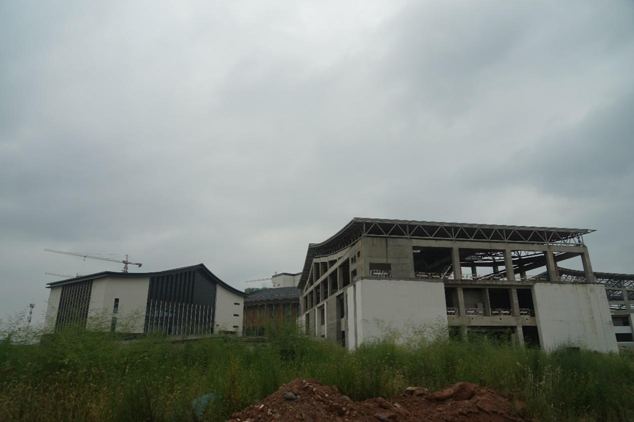 1730764936907332.jpg 005小图.jpg