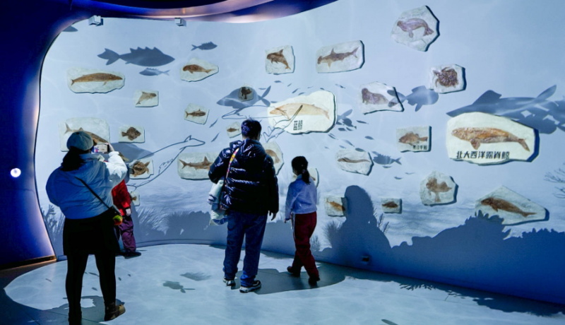 数字化展馆光影互动设计：思特科技刷新数字创意“保守”现状(图1)