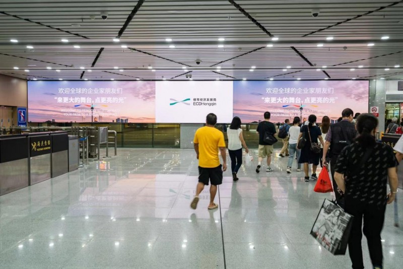 超万人打卡！2024横琴全球招商推广引热烈反响(图10)